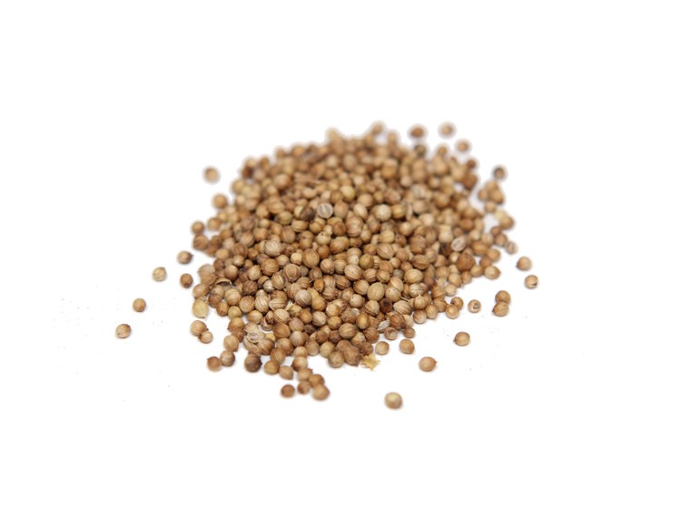 coriander seed