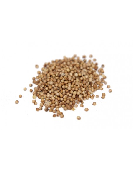 coriander seed