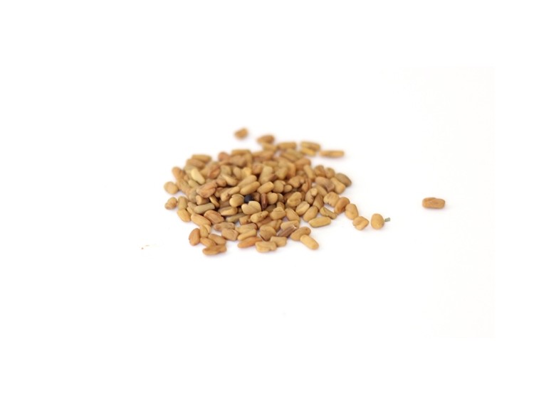 fenugreek