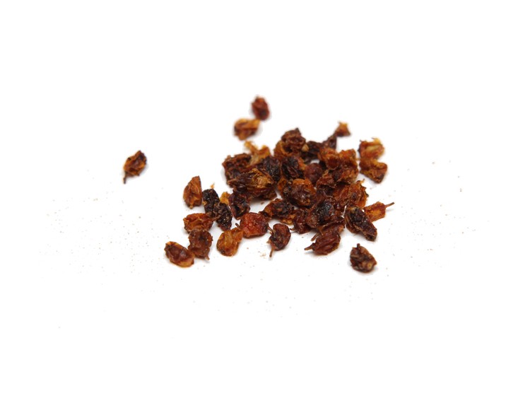 Hippophae rhamnoides seed