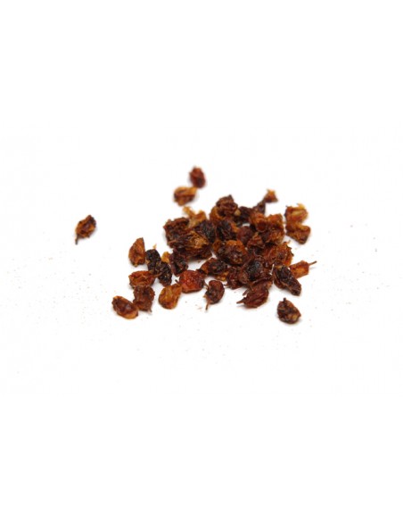 Hippophae rhamnoides seed