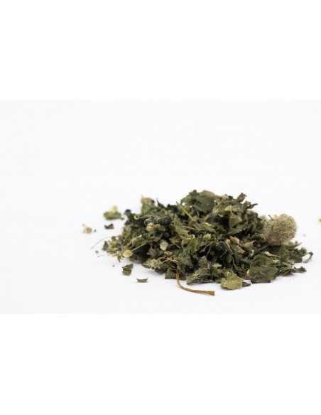 Nettle leaves BIO