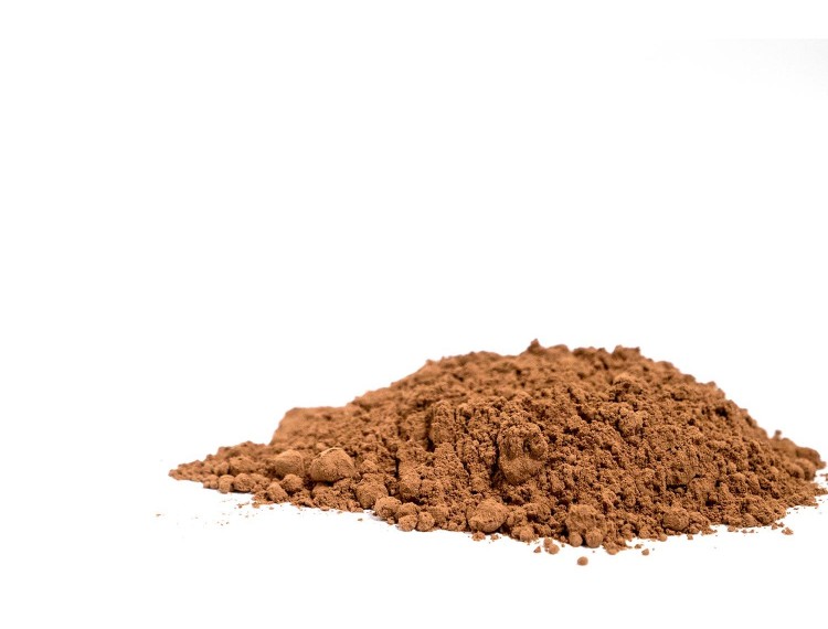 cacao powder BIO