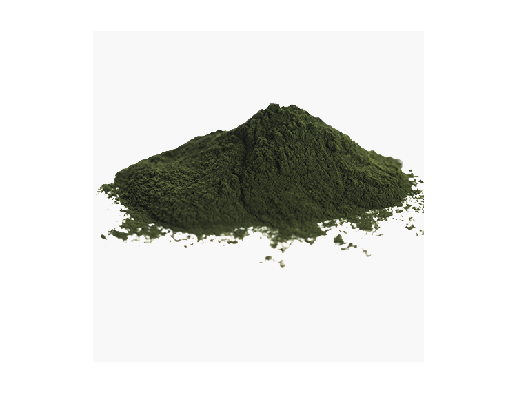 chlorella organic powder