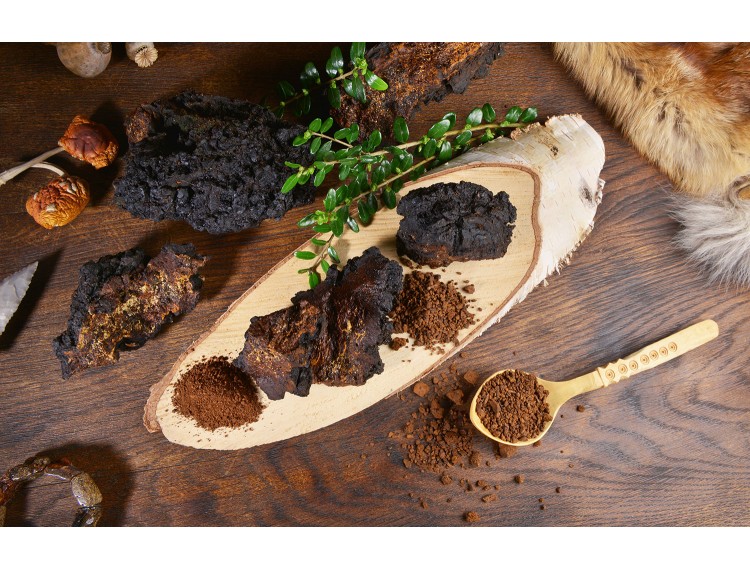 chaga mushroom powder