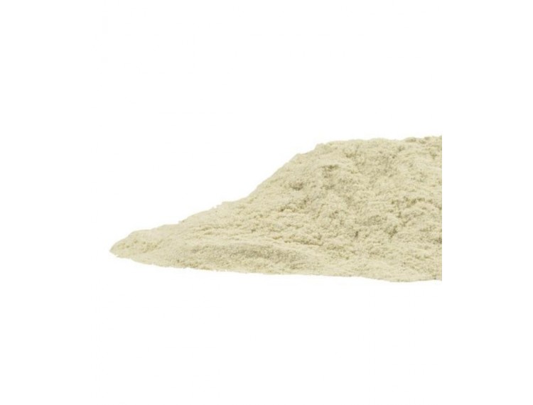 astragalus root powder