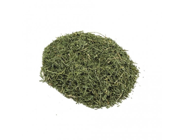 Artemisia annua cretan - Qing Hao