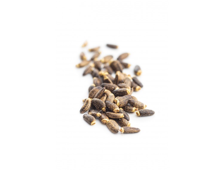 Milk Thistle Seed - Organic