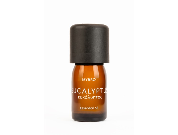 Essential Oil - Eucalyptus - Organic