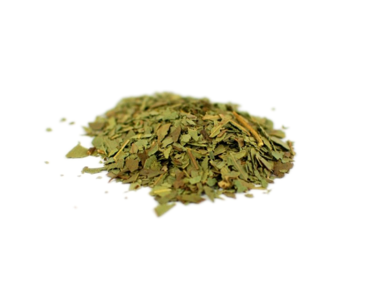 Eucalyptus - Organic