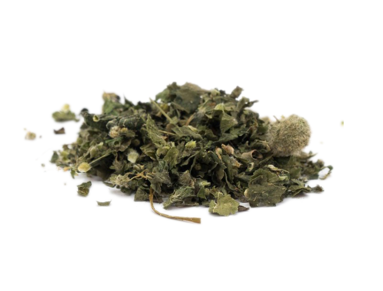 Nettle Leaves - Wild