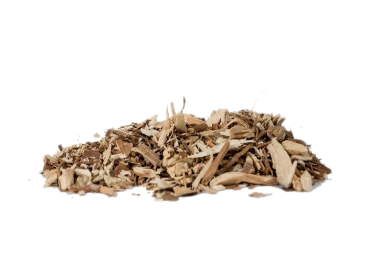 Hydrangea - Root