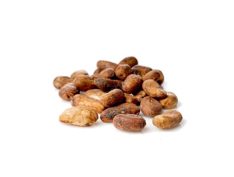 cacao beans BIO