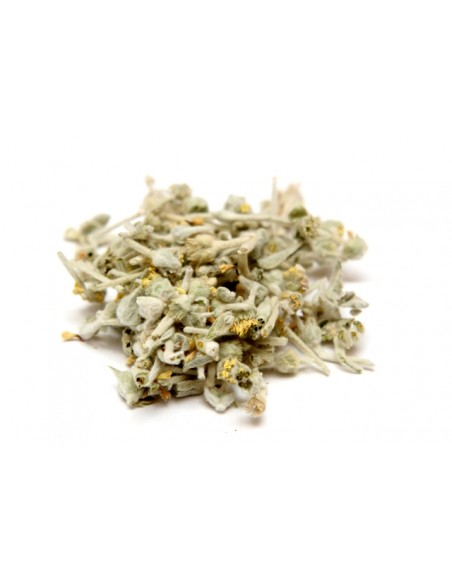 Cretan mountain tea