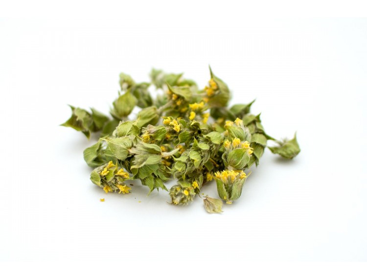 greek mountain tea bunch
