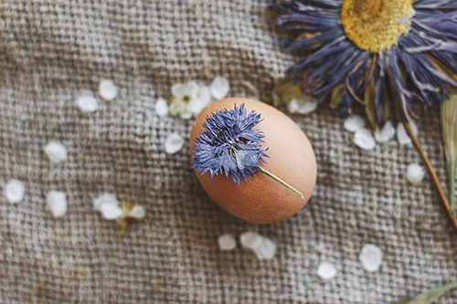 Get Easter Ready! Προτάσεις για αυγά, μαγειρίτσα, τσουρέκι & ροφήματα.
